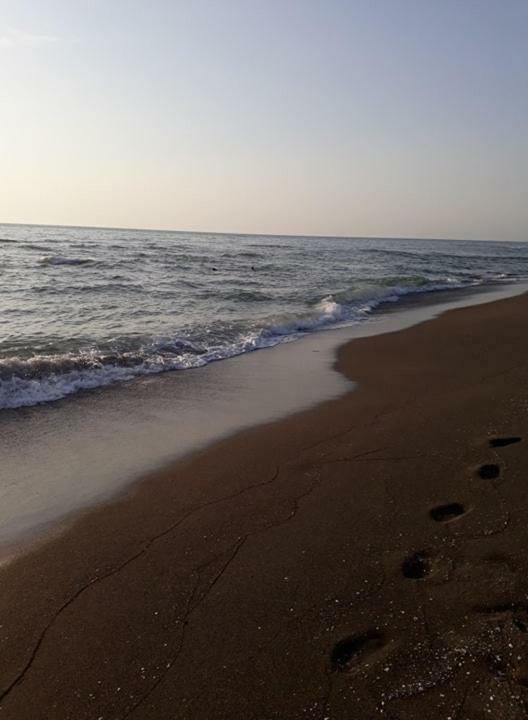 Hotel Poseidon Shekhvetili Bagian luar foto